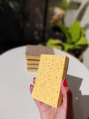 Kit Raiz Eco - 10 Esponjas Biodegradáveis