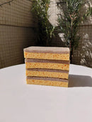 Kit Raiz Eco - 10 Esponjas Biodegradáveis