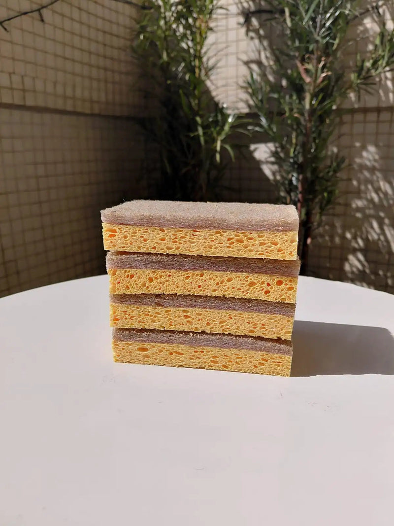 Kit Raiz Eco - 10 Esponjas Biodegradáveis