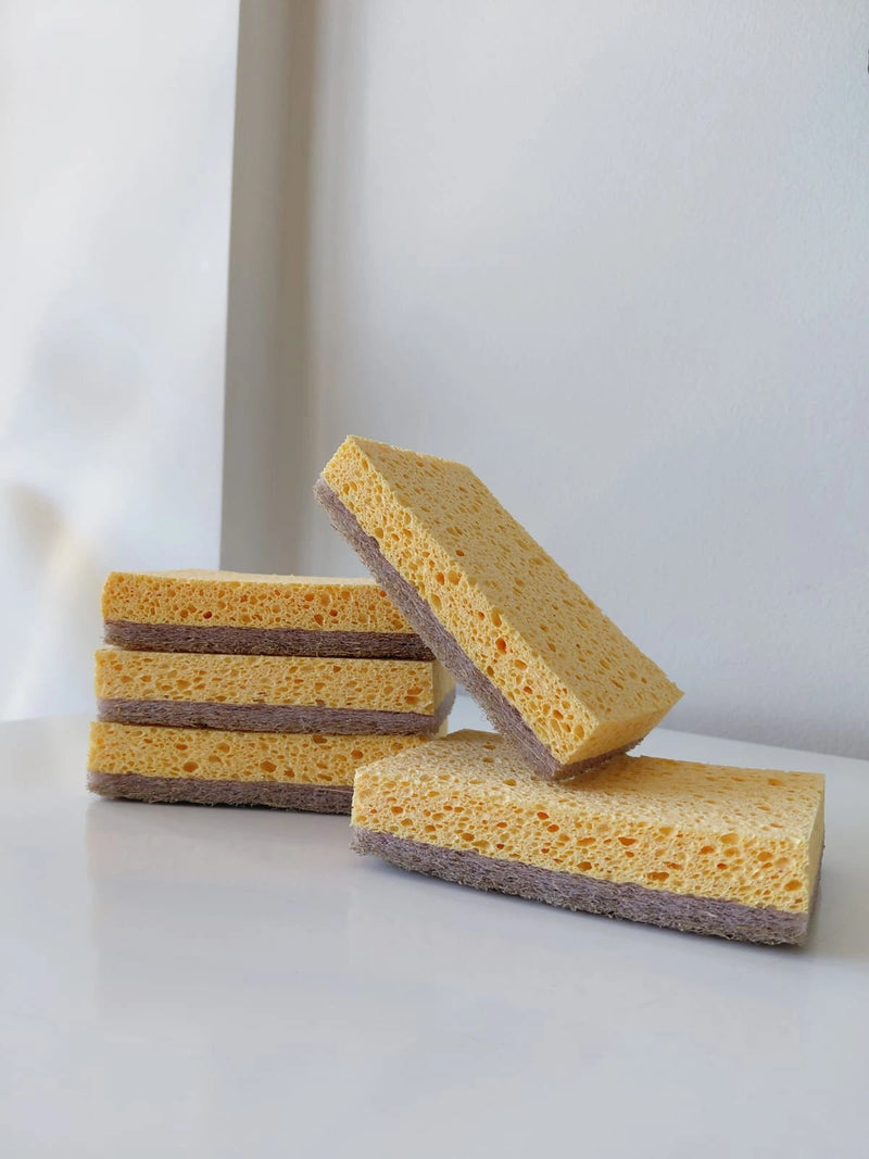 Kit Raiz Eco - 10 Esponjas Biodegradáveis