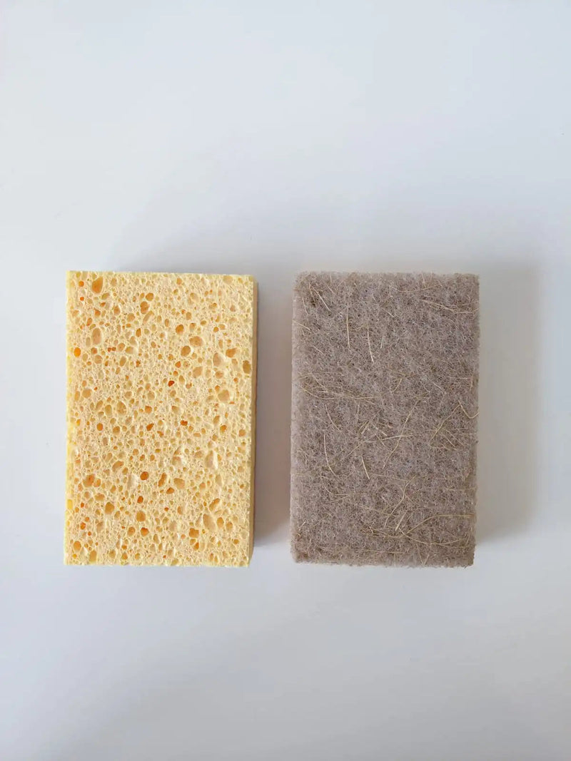 Kit Raiz Eco - 10 Esponjas Biodegradáveis